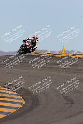 media/Mar-12-2023-SoCal Trackdays (Sun) [[d4c8249724]]/Turns 9 and 10 (1020am)/